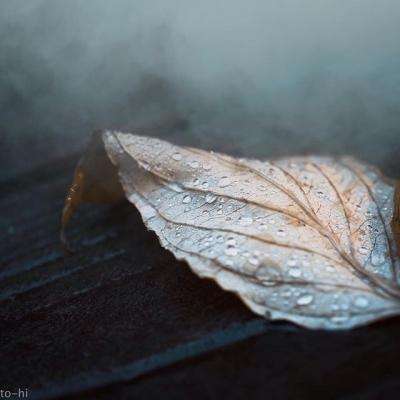 彩票平台wellcome