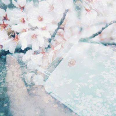 kok下载-登录入口